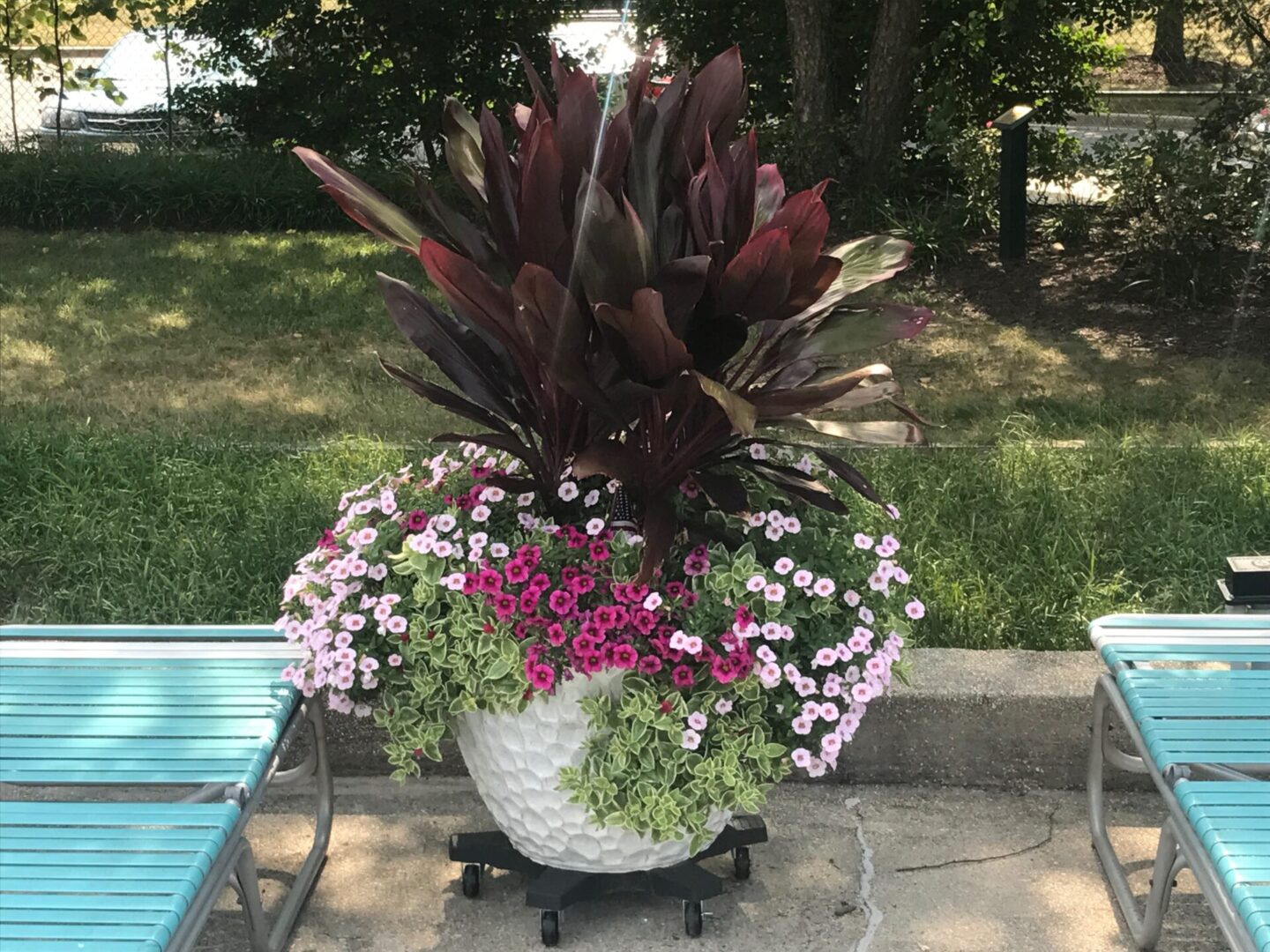 A large planter filled with flowers next to the pool.