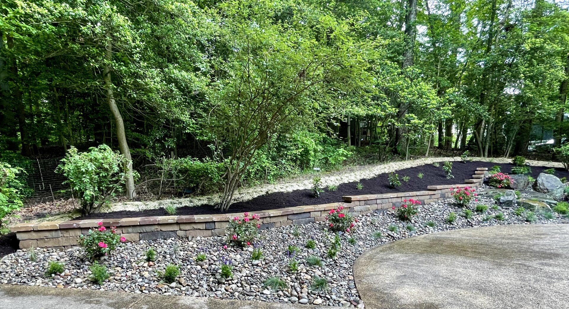A garden with rocks and plants in the background.