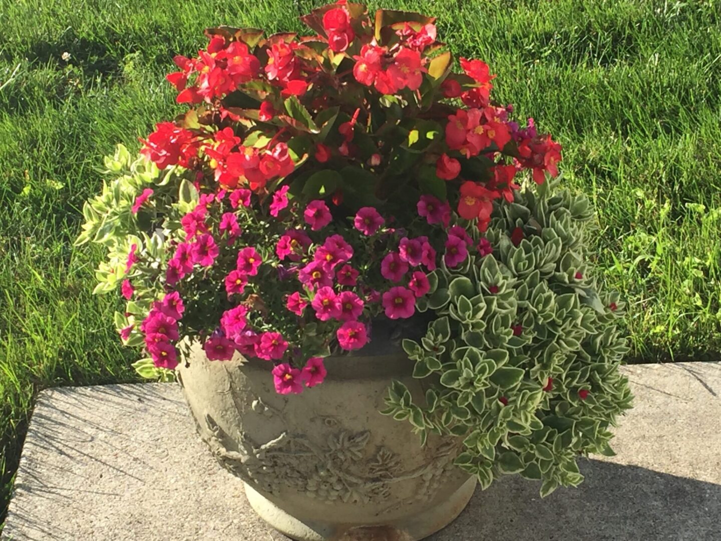 A flower pot with many flowers in it