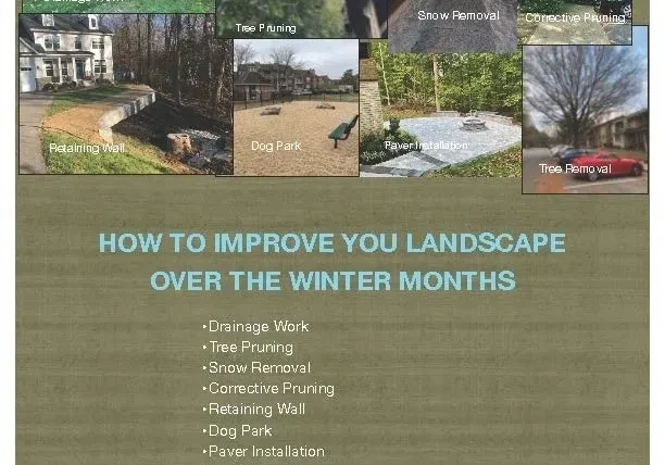 A flyer with various pictures of different types of landscaping.