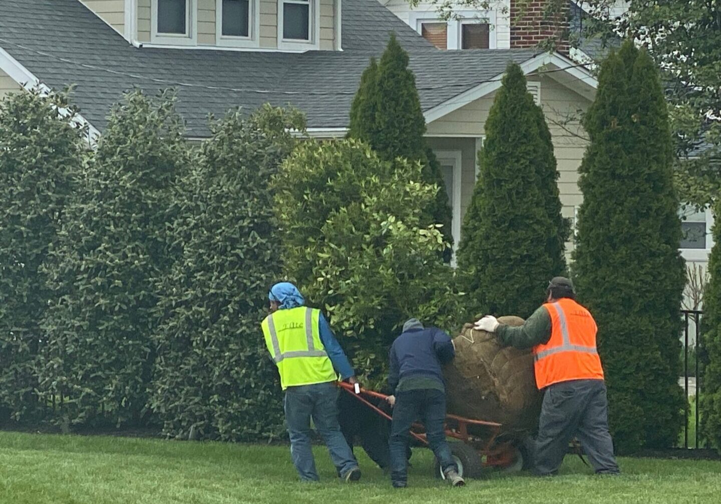 Three men pushing a cart in the grass.
